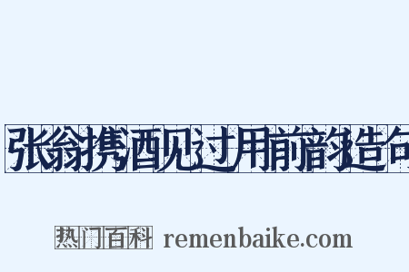 张翁携酒见过用前韵造句是什么意思的图片